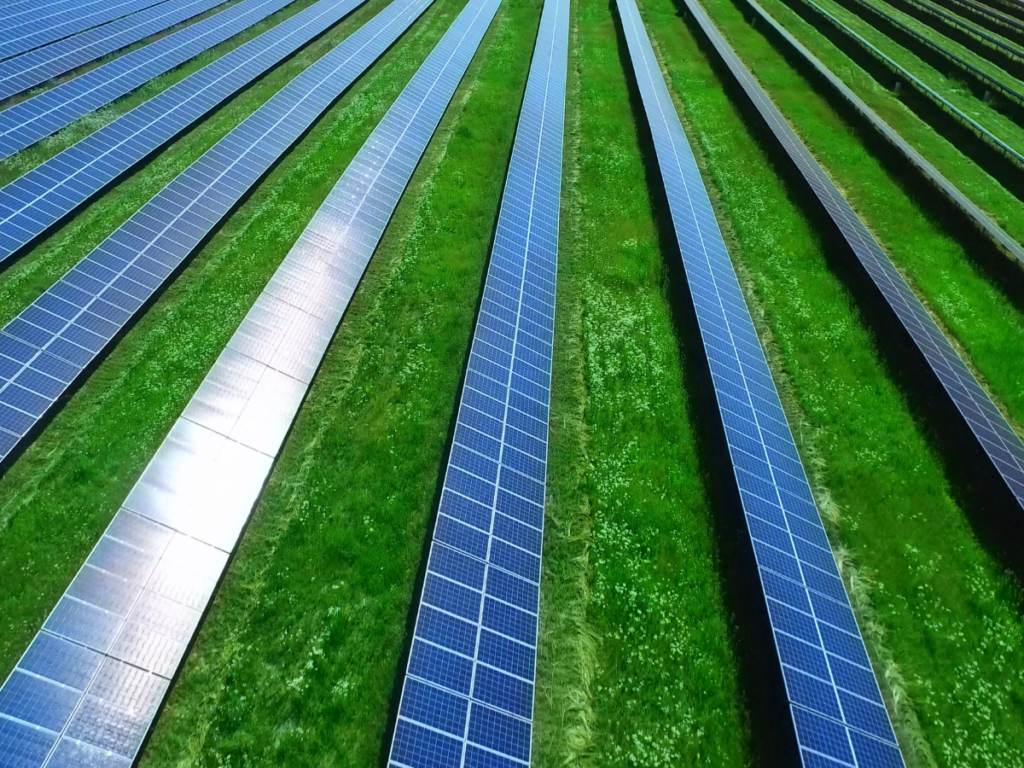 green grass with rows of solar panels