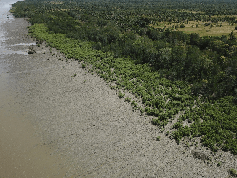 Tanjung Baik Budi