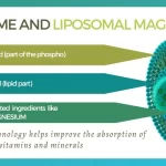 What_is_liposome_and_liposomal_magnesium - Ecosh