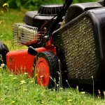 Tall Grass and Insecticides