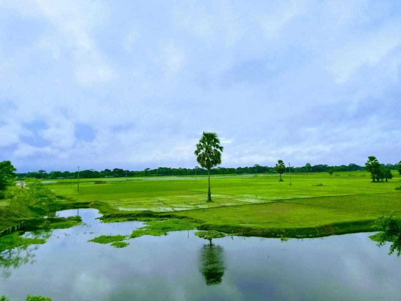 Bangladesh plains